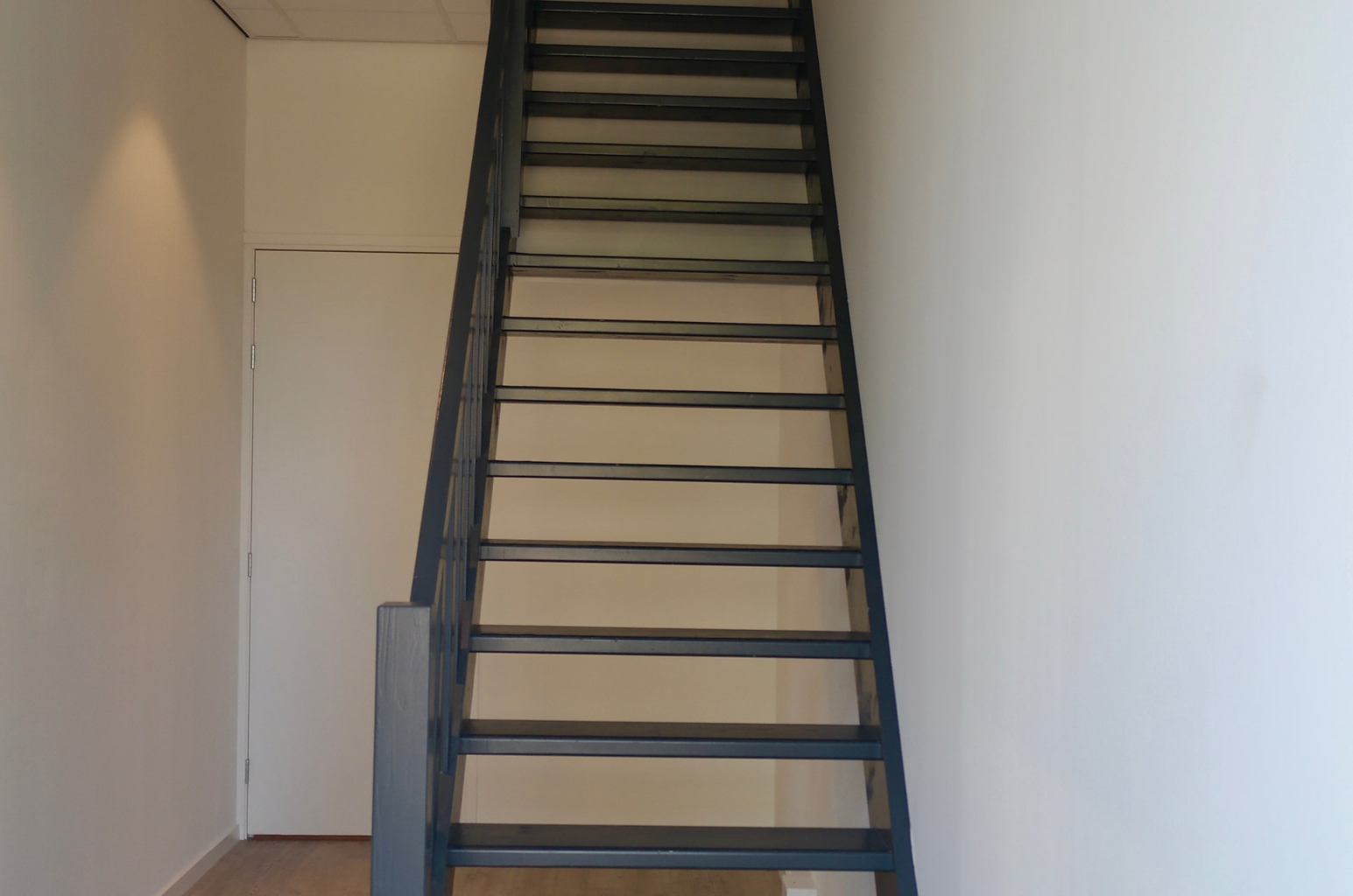 wilbeek-project-davinci-4.jpg