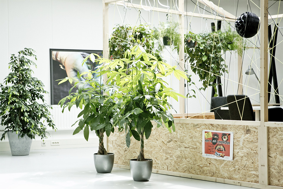 Wilbeek-project-fotostudio-arendstraat-hilversum-06.jpg