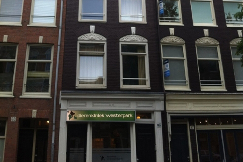 Wilbeek-project-gevel-restauratie-amsterdam-03.jpg